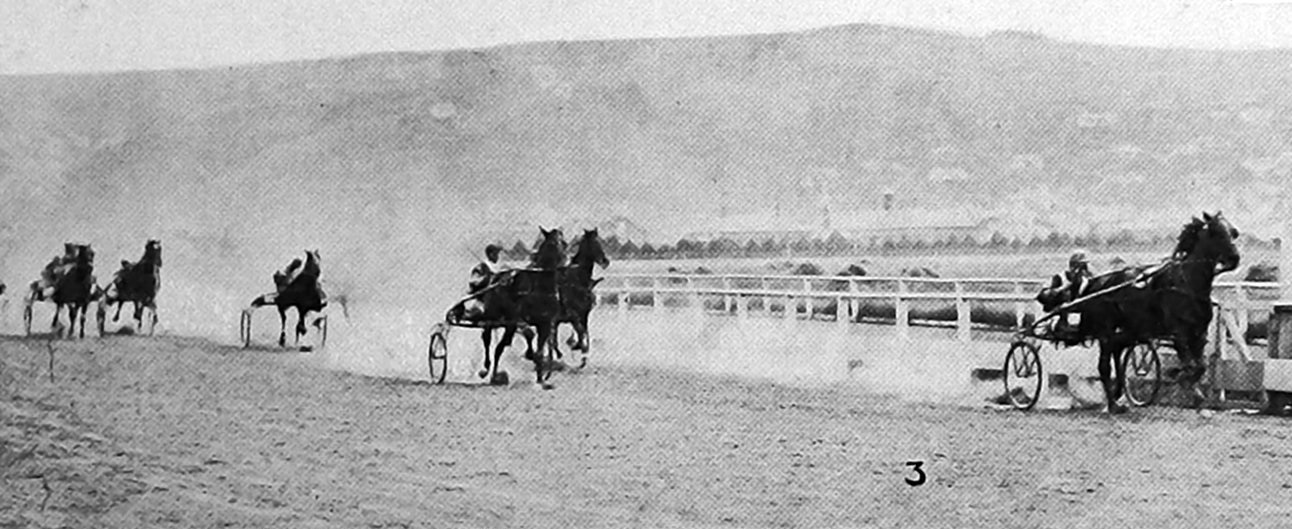 Finish of the Forbury Handicap earlier in 1925: Harbour Light 1, Loganwood 2, Away 3, Whispering...