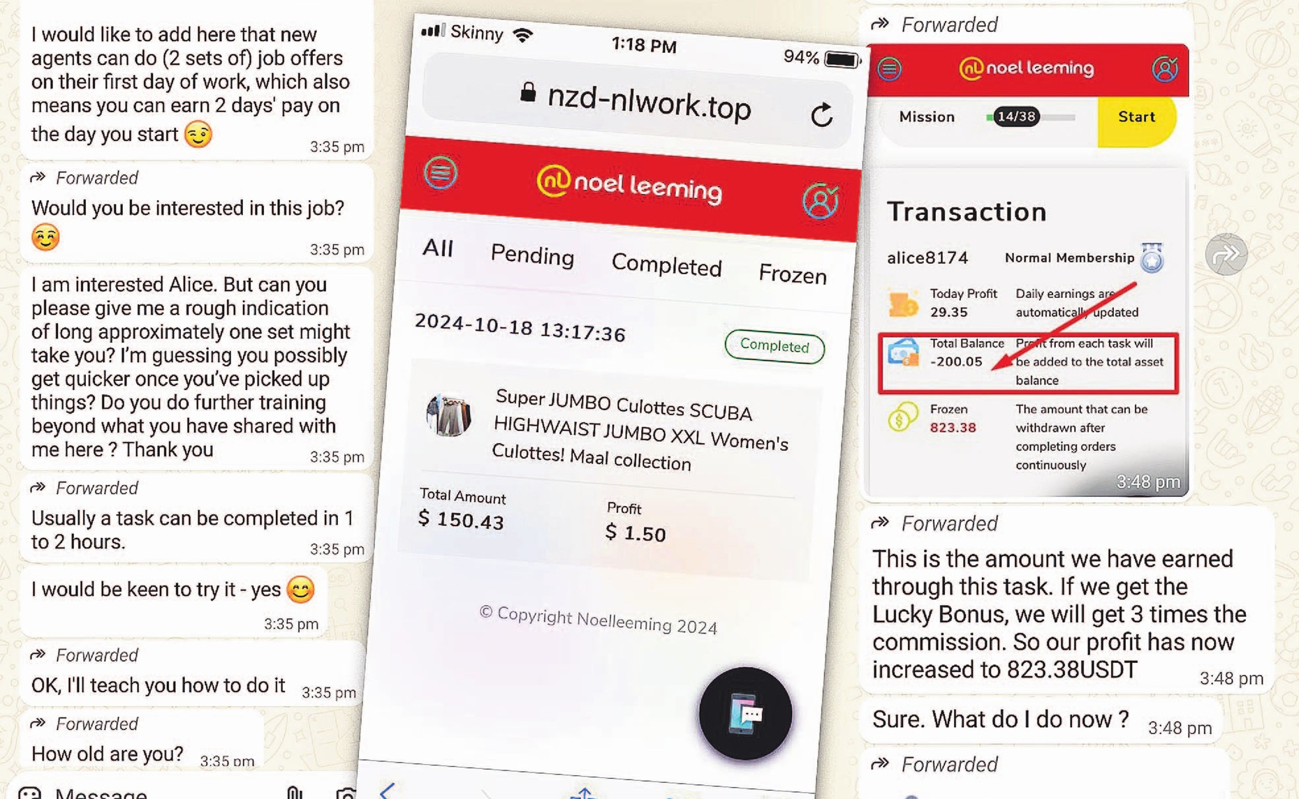 Screengrabs of WhatsApp conversation between an Otago woman and the representative of task scam...