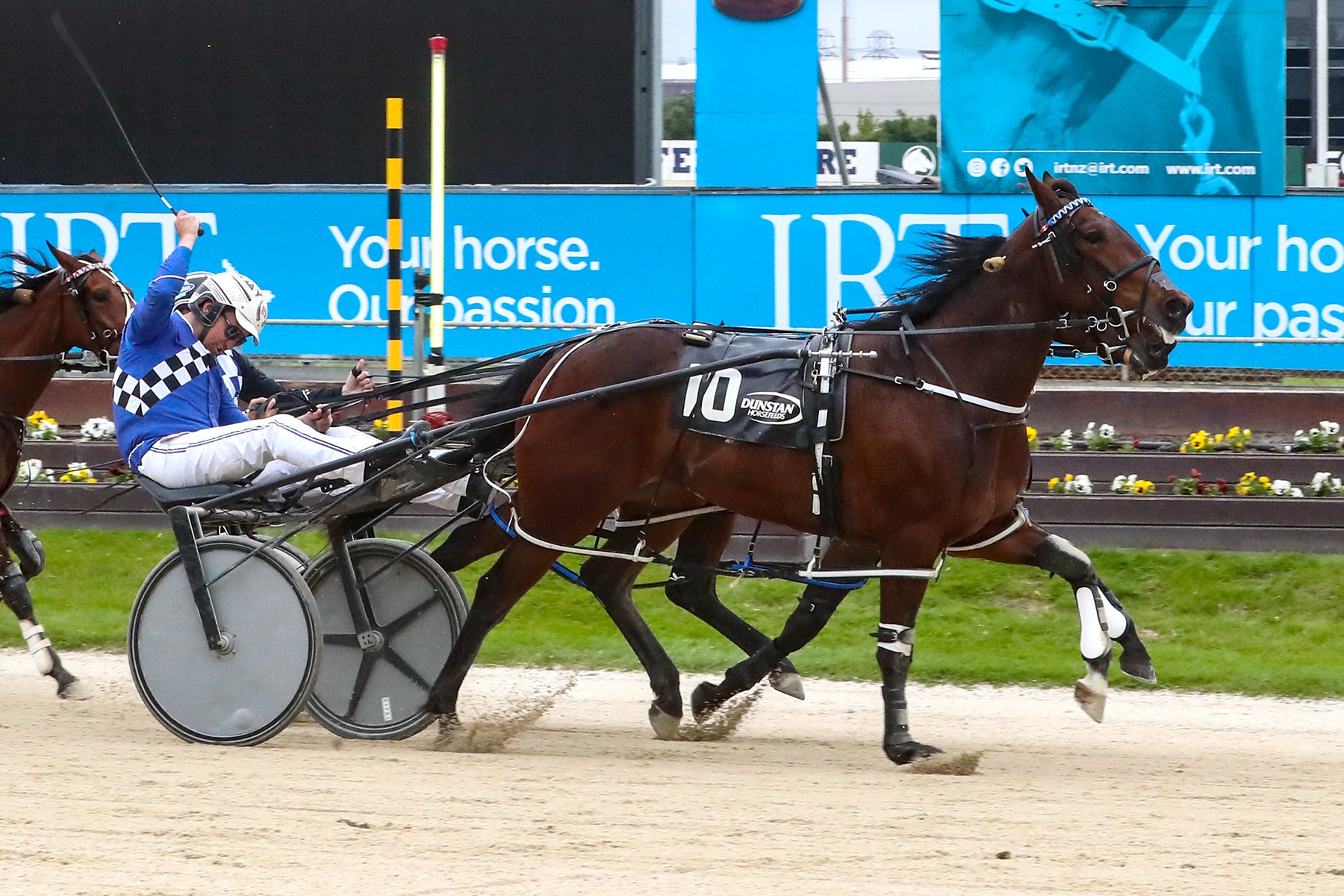 Nathan Williamson will chase more group race success with Captains Mistress on Diamonds Day...