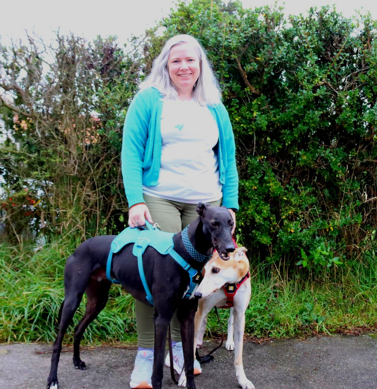 Stephanie Godfrey says her former racing greyhounds Doug (left) and Tracy are "pretty chill" dogs...