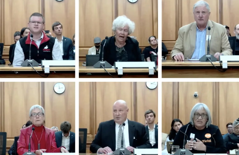 Parliament has unanimously agreed to allow all submissions on the Treaty Principles Bill to be...