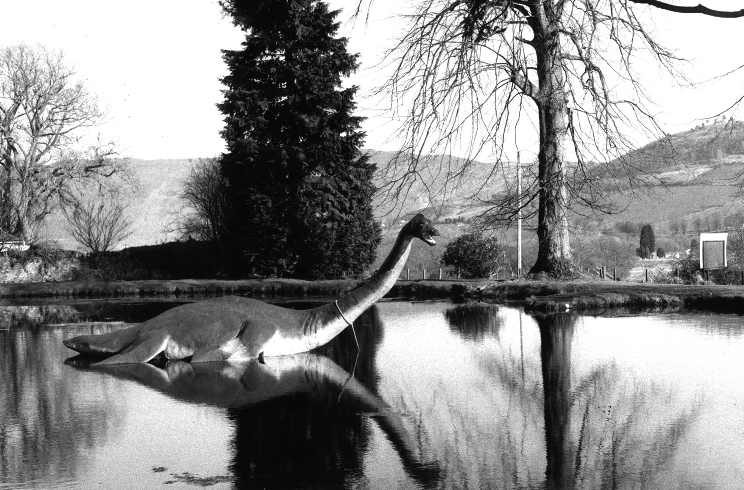 An image of the mythical creature at the Loch Ness Monster Museum. Photo: ODT files