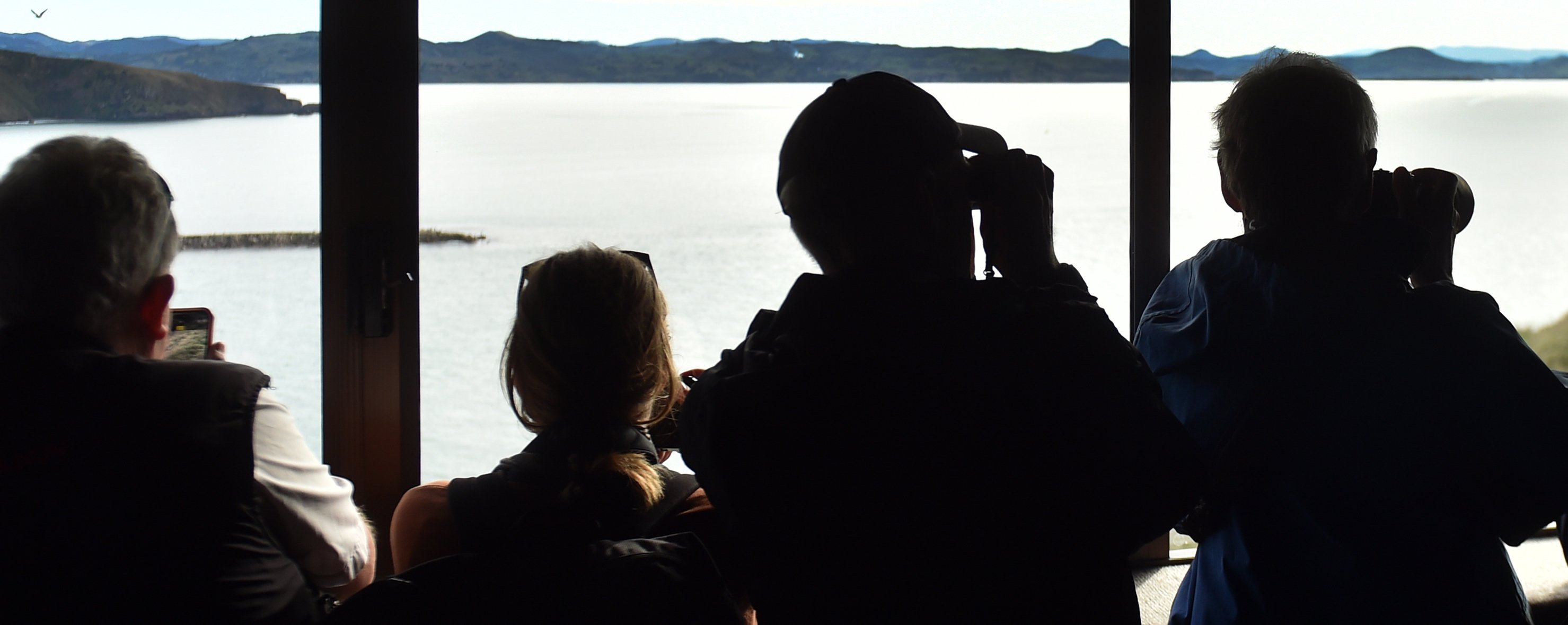 International experts representing 13 countries met in Dunedin this week to discuss better...