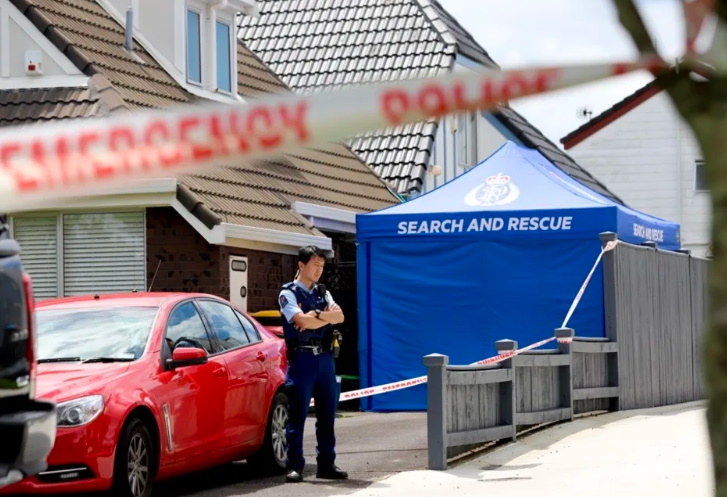 A man has admitted murdering an Auckland couple in their home during an incident in November 2023...