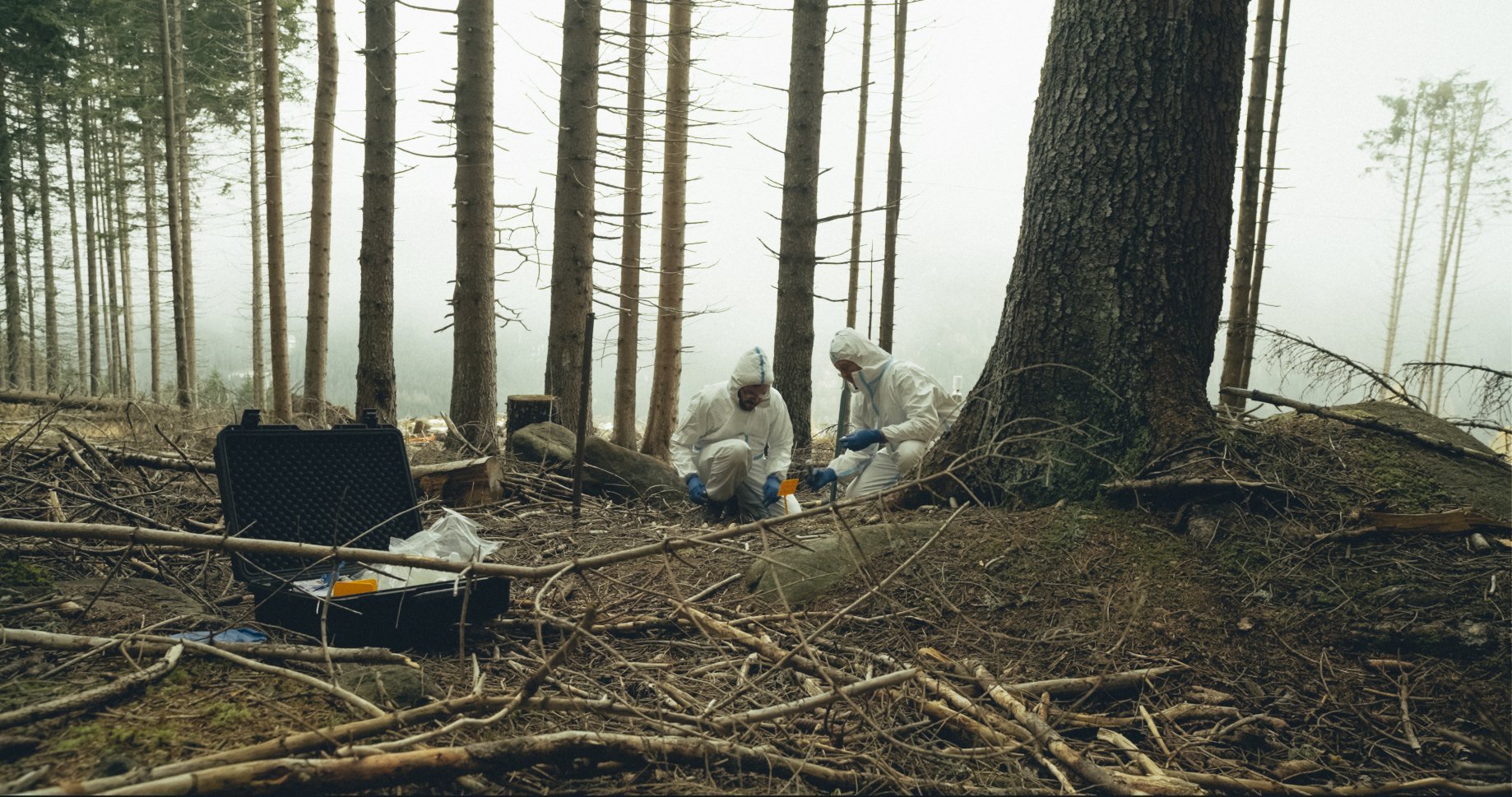 The researchers also detected changes in the bioelectric responses of the stumps during the...