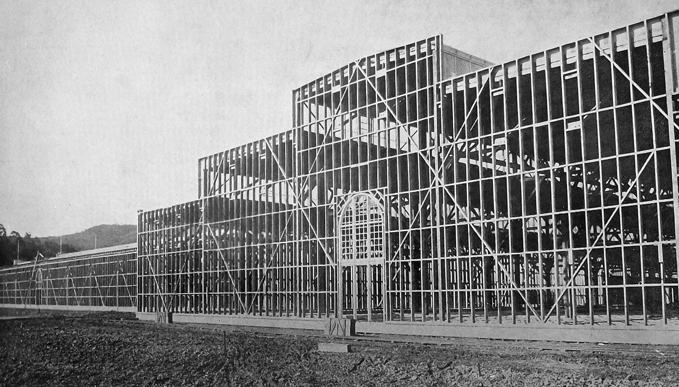 A building frame awaits cladding at the New Zealand and South Seas Exhibition construction site...