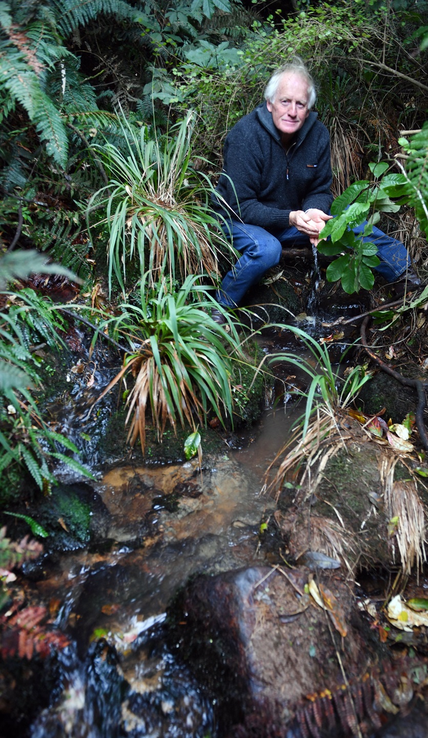 Alan MacLeod at one of the sources of the Kaikorai Stream he protects on his land. Photo: Stephen...
