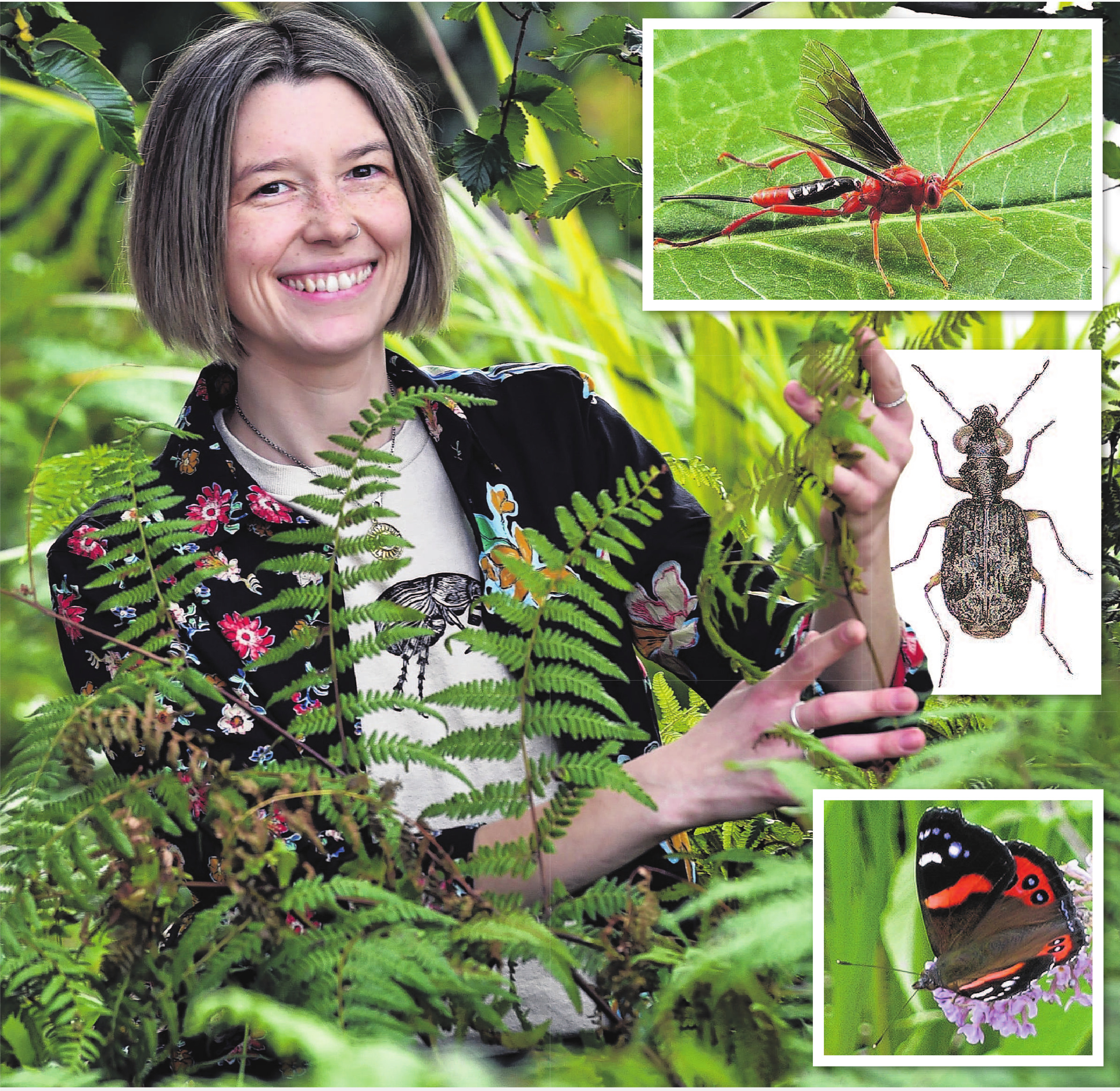 University of Otago ecology PhD student Jacqui Theis has been studying the growing number of...