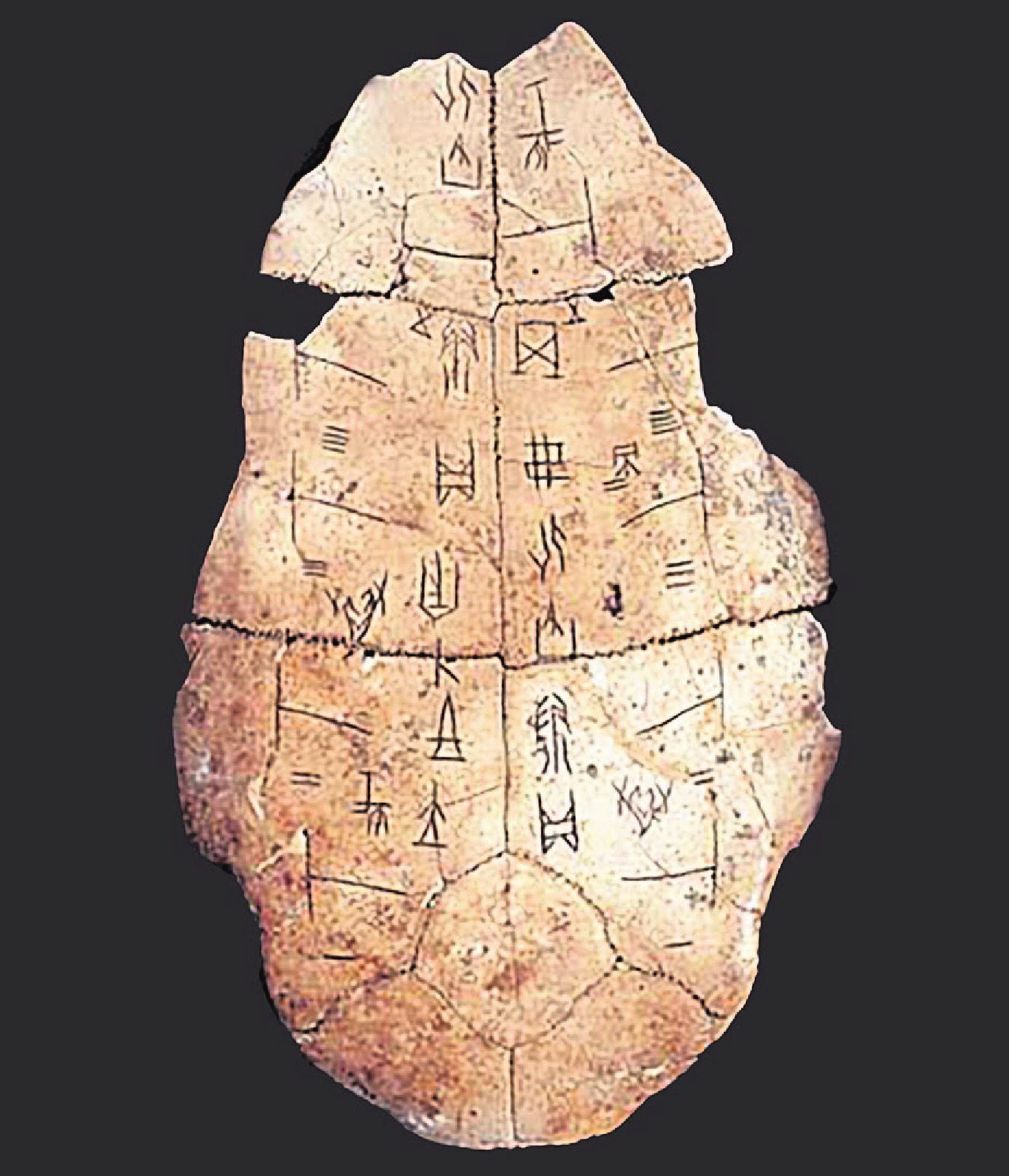 A Chinese oracle bone. Photo: supplied