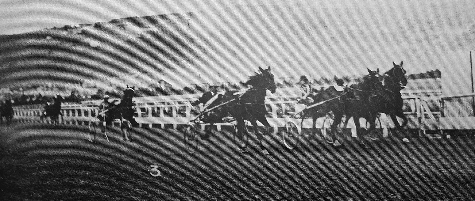 Finish of the St Clair Handicap at Forbury Park Trotting Club’s winter meeting, Dunedin. — Otago...