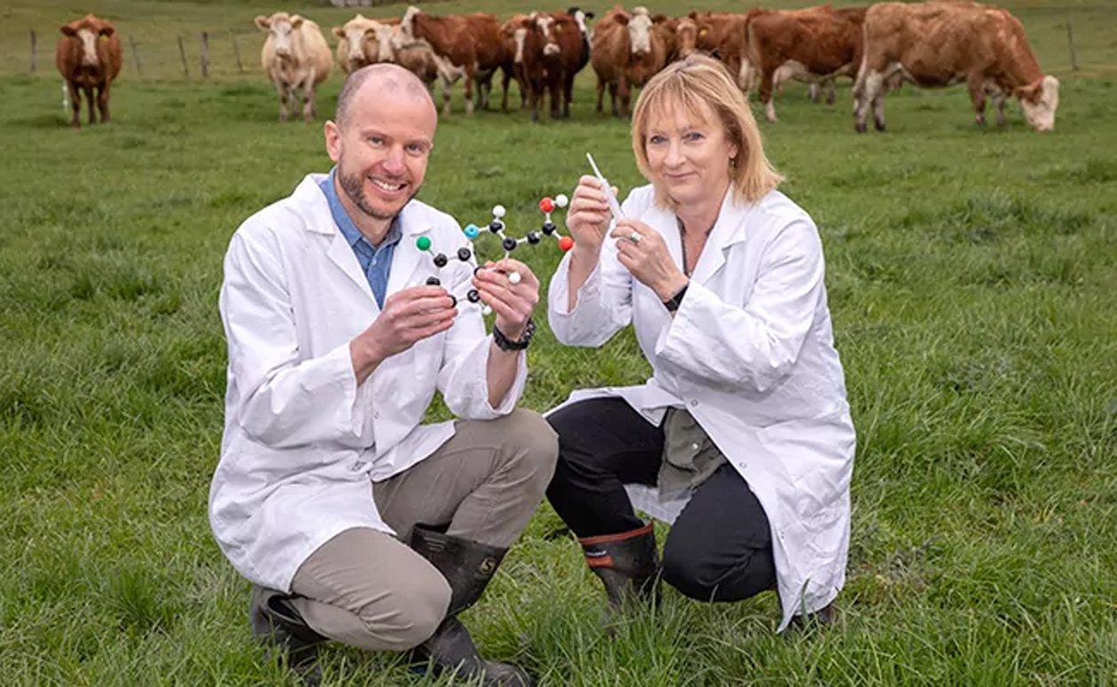 University of Otago researchers Dr Allan Gamble and Prof Sarah Hook are re-engineering...