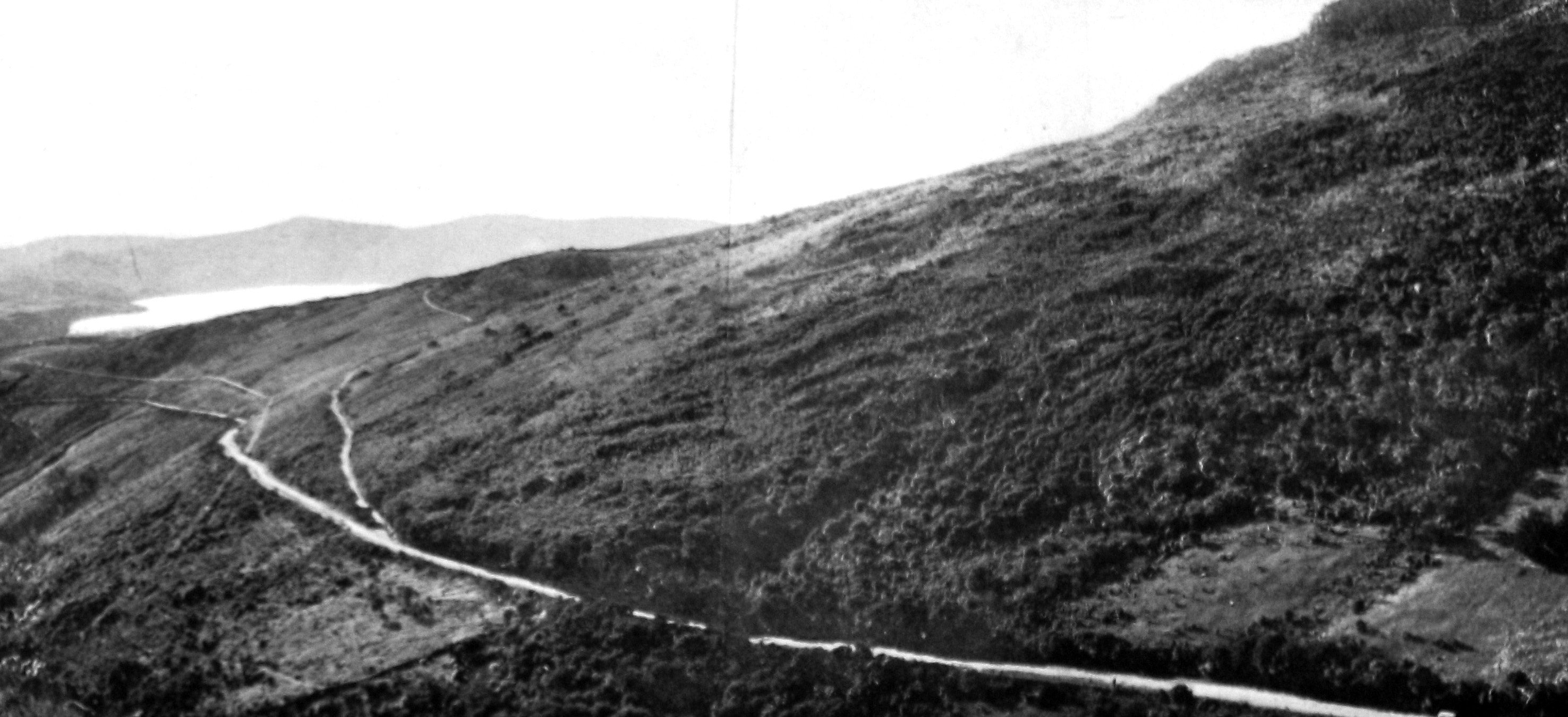 The main north road near Waitati. — Otago Witness, 7.7.1925 
