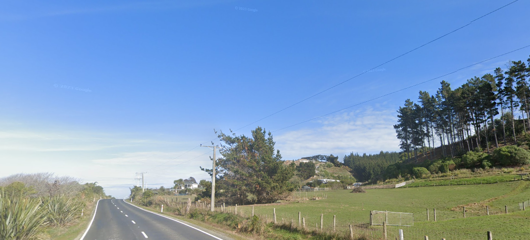 The 'animal incident' happened on Taieri Mouth Rd. Photo: Google Maps