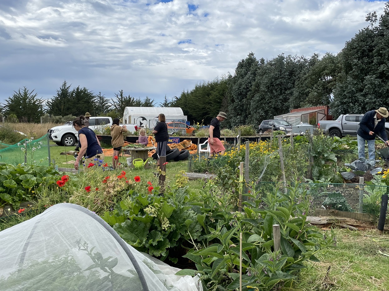 The māra kai, community garden, at Puketeraki Marae. Photos: supplied