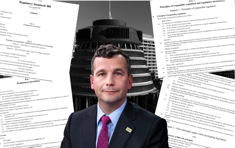 The Regulatory Standards Bill was introduced by ACT Party leader David Seymour. Photo: RNZ Graphic