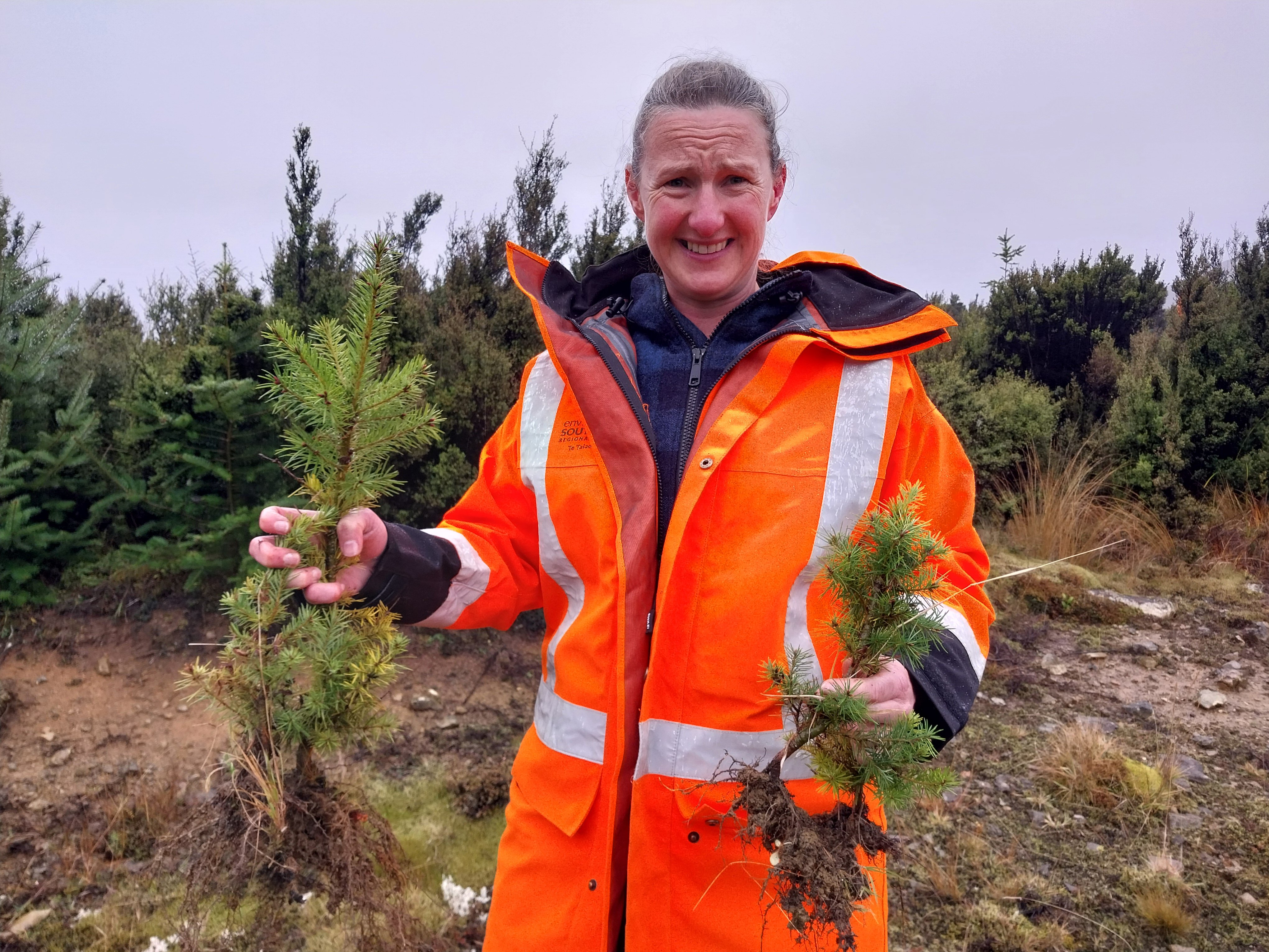 Environment Southland biosecurity plants team leader Jolie Hazley has seen an increase in the...
