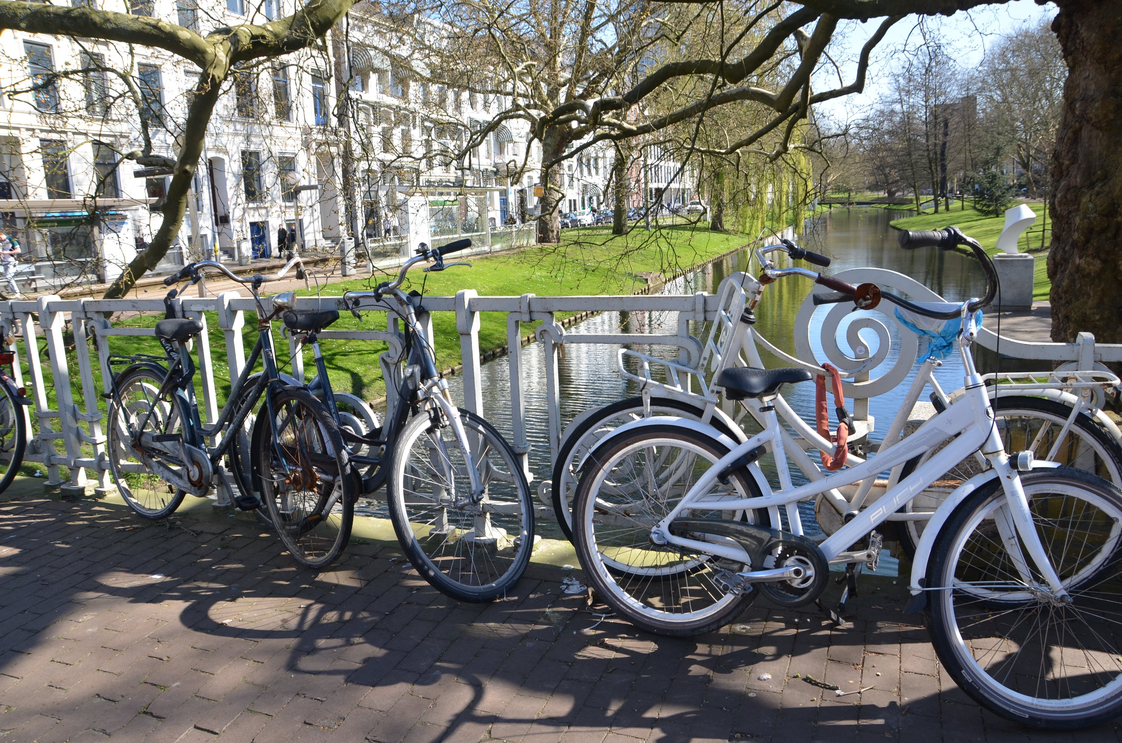 There are more bikes on the road than cars in Rotterdam. PHOTOS: SUPPLIED

