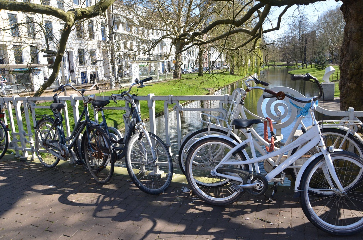 There are more bikes on the road than cars in Rotterdam.