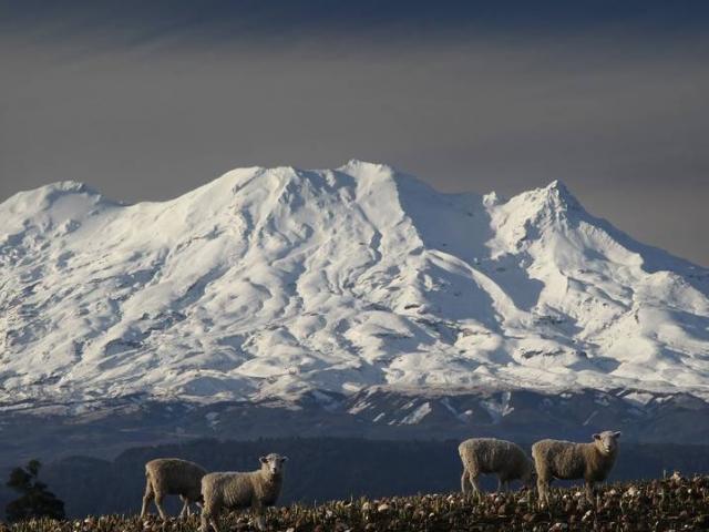 Mt Ruapehu. File photo