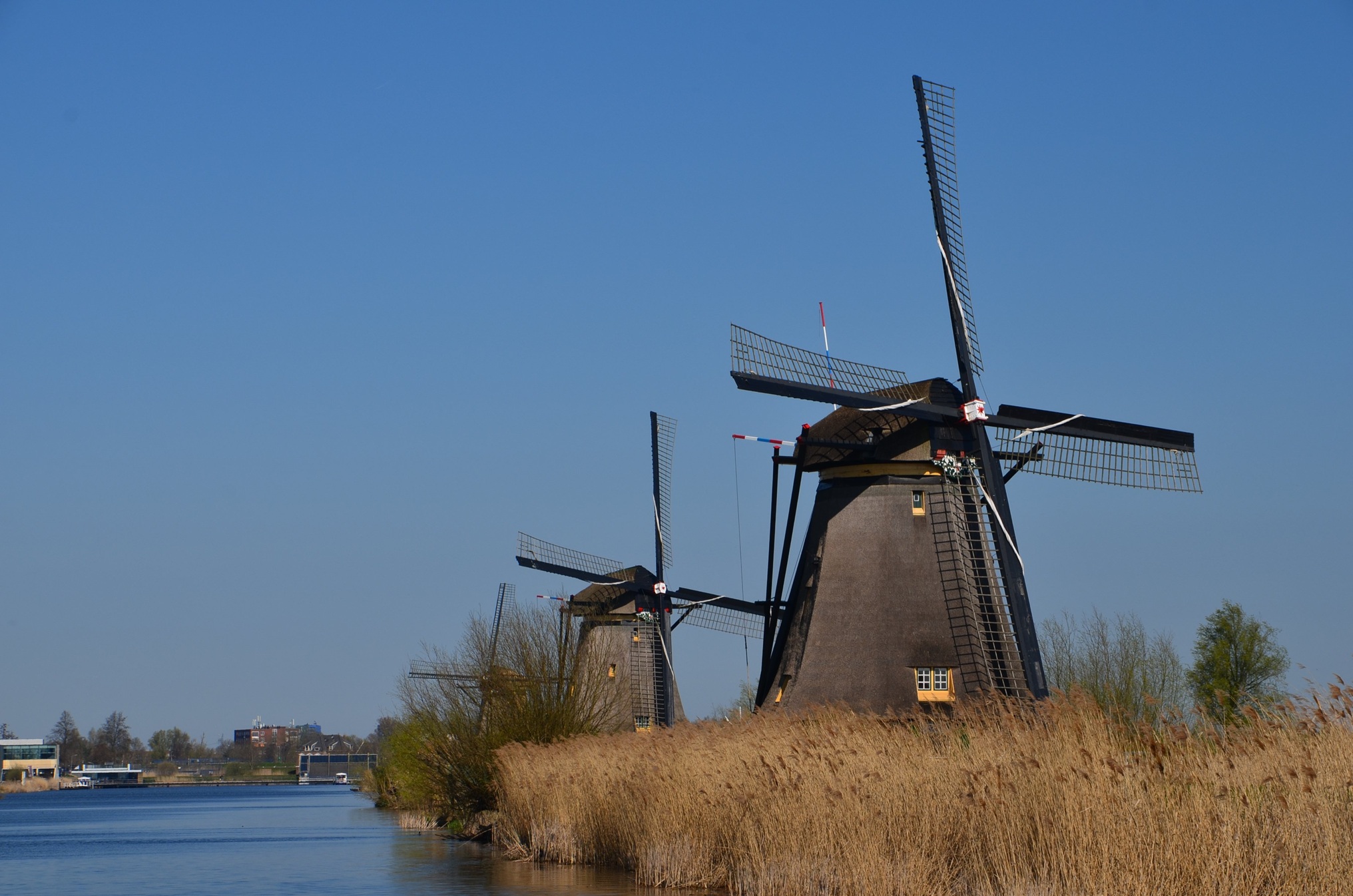 The windmills at Kinderdjik are less than an hour’s travel from Rotterdam. Photos: supplied