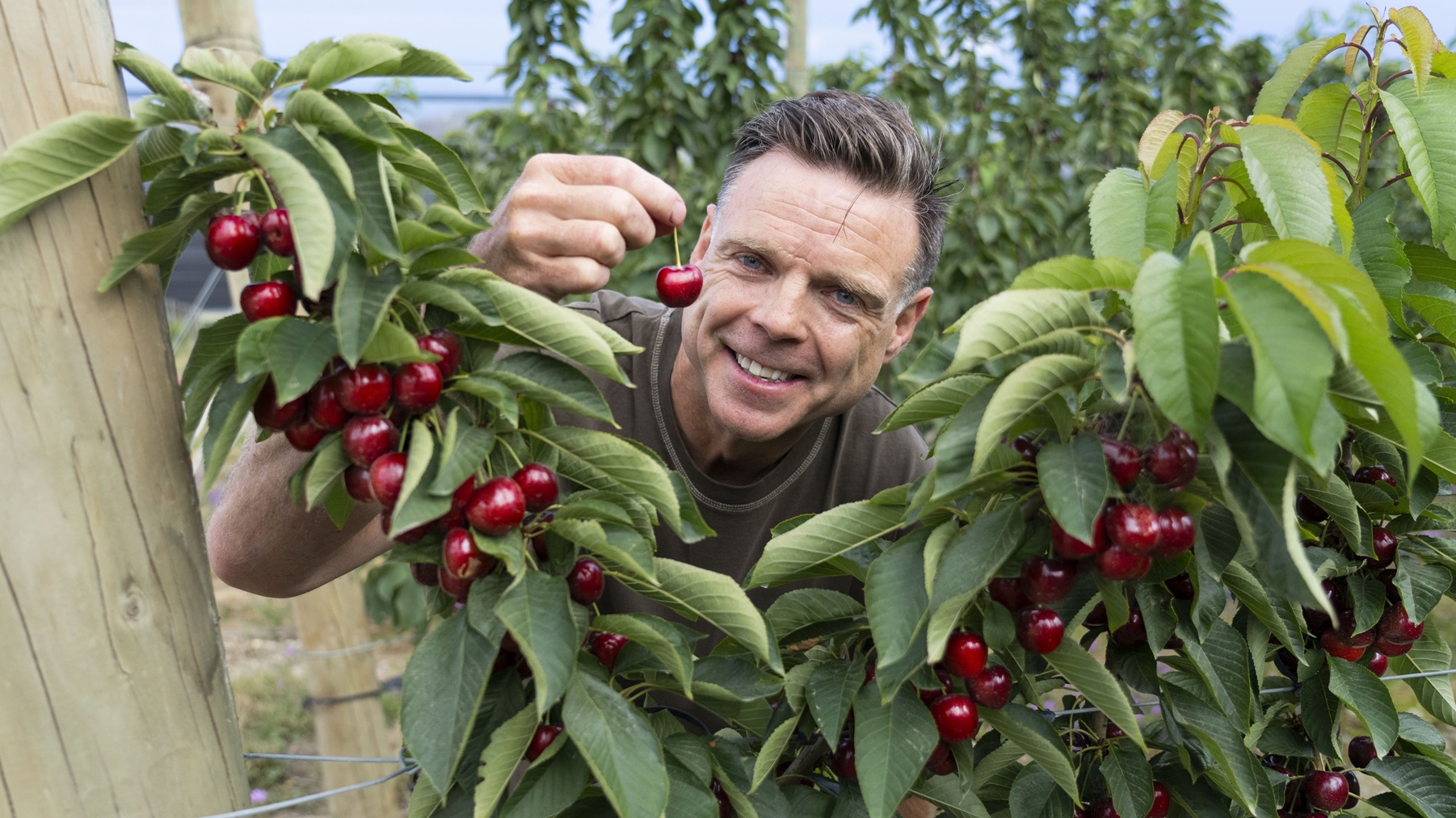 Ben Bayley visits Forest Lodge Orchard (Electric Cherries). Photo: Makoto Takaoka