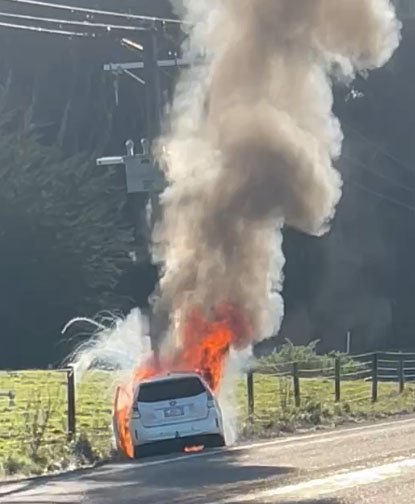 A hybrid car engulfed in flames on State Highway 88 between Dunedin and Port Chalmers yesterday...
