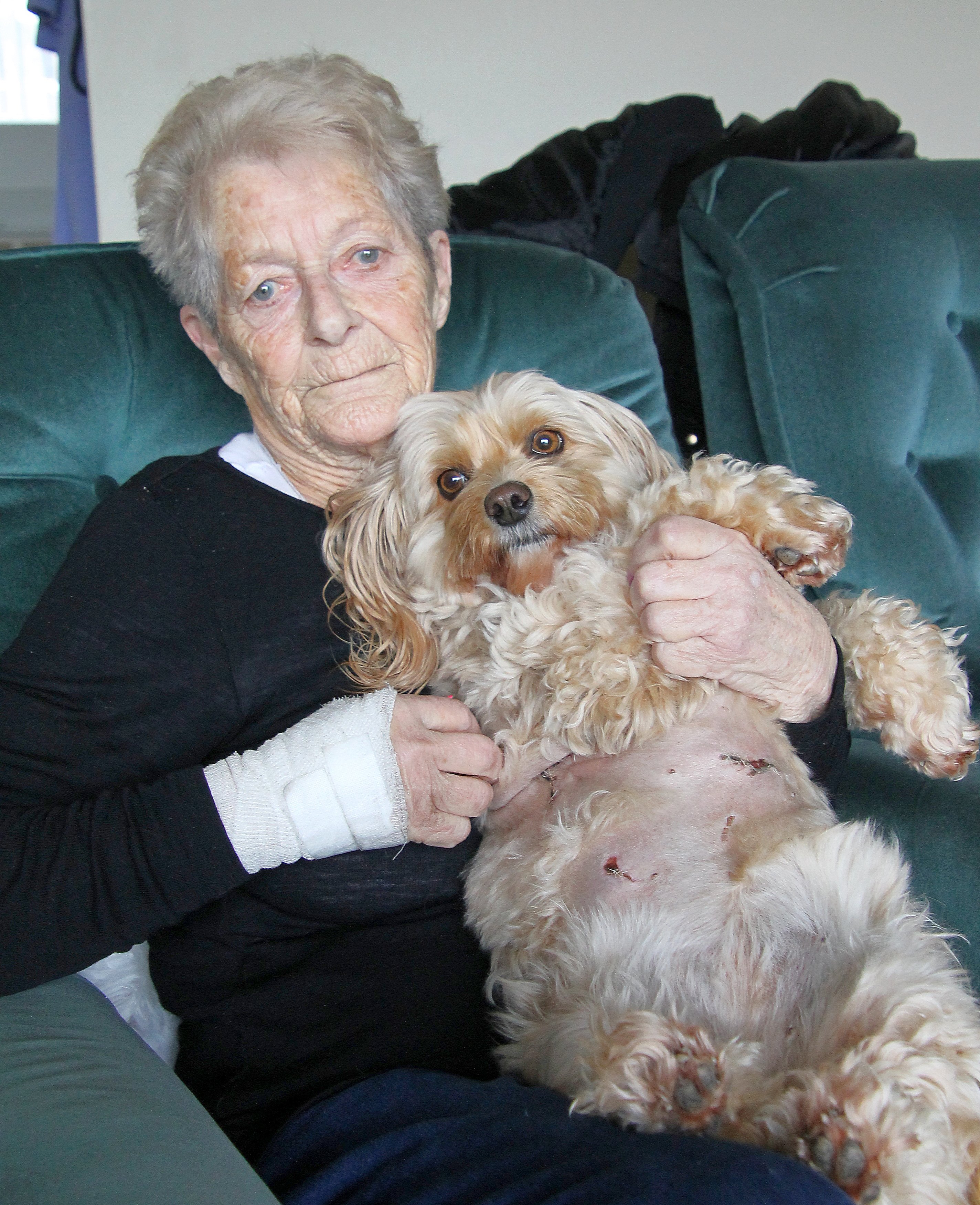 Along with the owner of two large dogs, Diane Le Sueur and Alice, pictured, await a council...