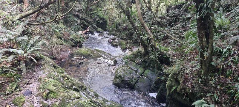 The Whiskey Creek Challenge track will have the stunning views of Dolomore Park ready for runners...