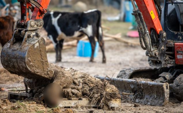 Photo: RNZ / Mark Papalii