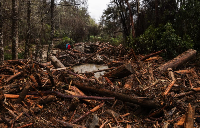 Slash in Ngātīmoti, on Sunday, following flooding and heavy rains. Photo: RNZ/Samuel Rillstone