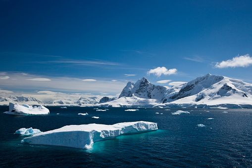 Researchers fear the sea ice around Antarctica could be in "terminal decline". Photo: Getty Images 
