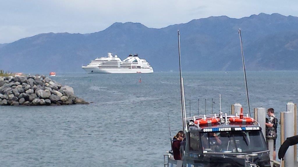 A cruise ship on the horizon. Photo: David Hill / North Canterbury News