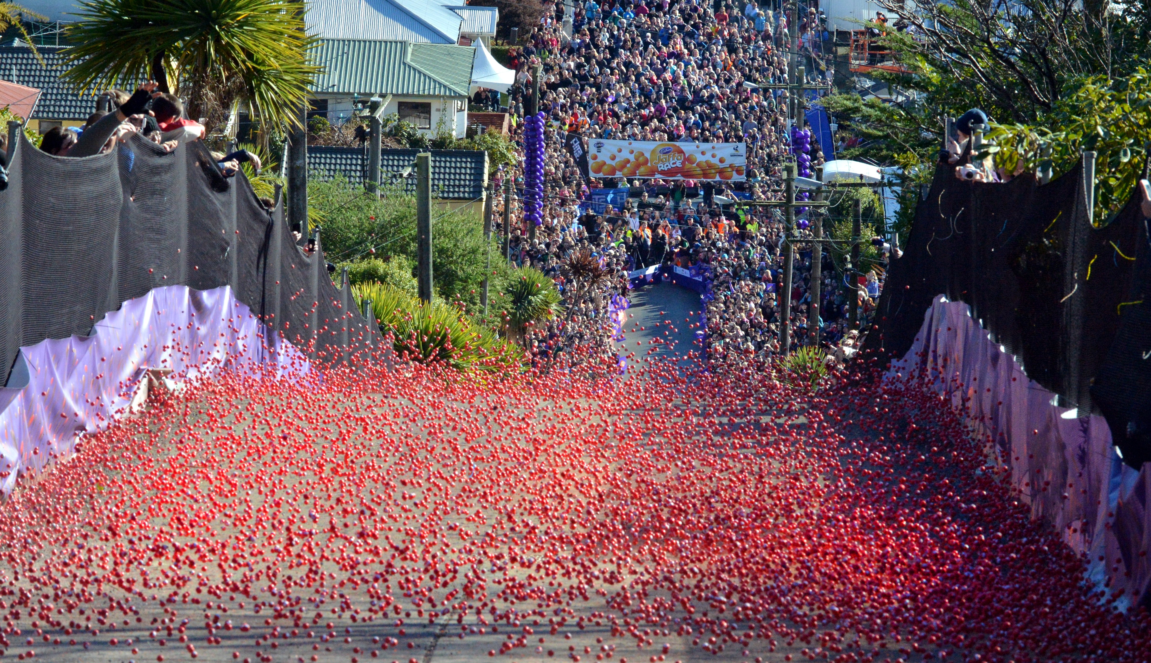 Thousands of Jaffas hurtle down Dunedin's Baldwin St, the world's steepest, in 2015. PHOTO:...