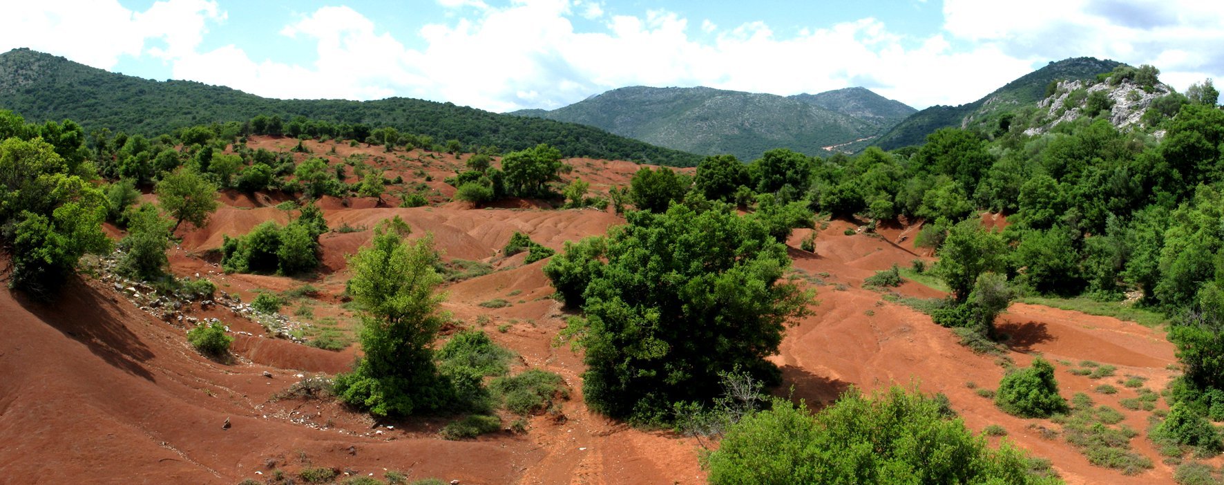 During our visit to Greece, we found an archaeological nirvana, deep gullies from which...