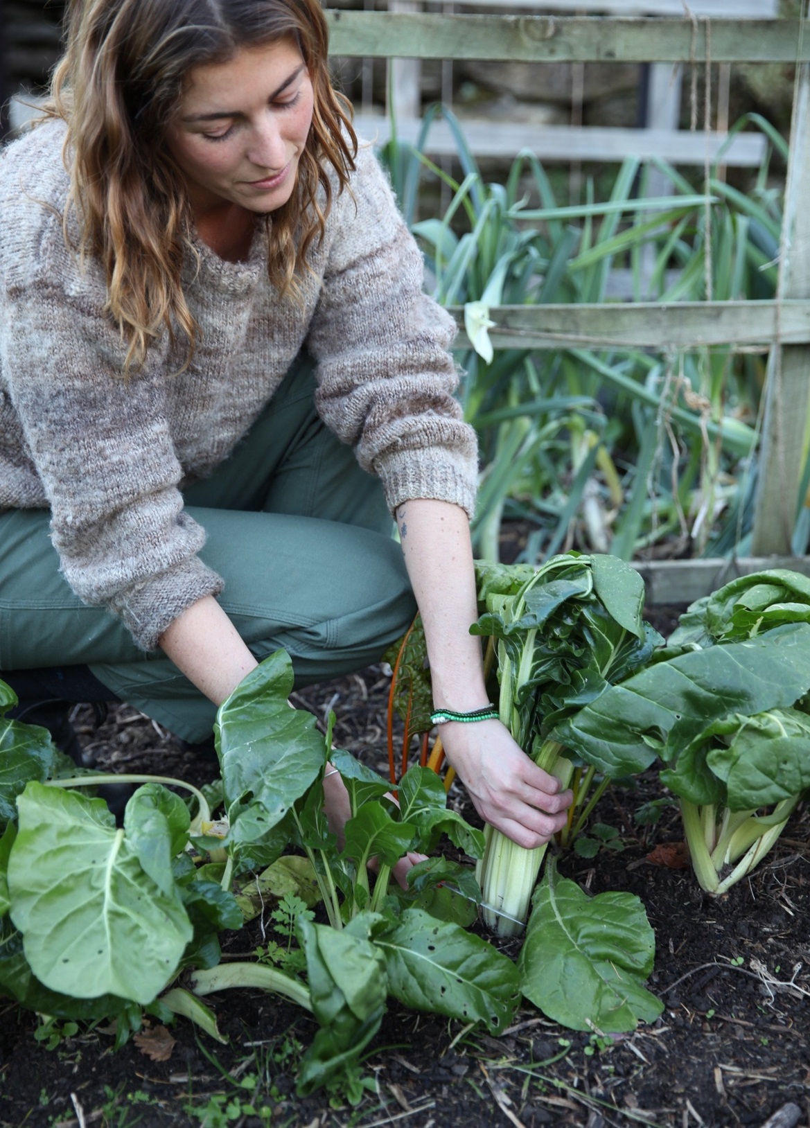 Greens such as silverbeet are excellent in a winter soup.