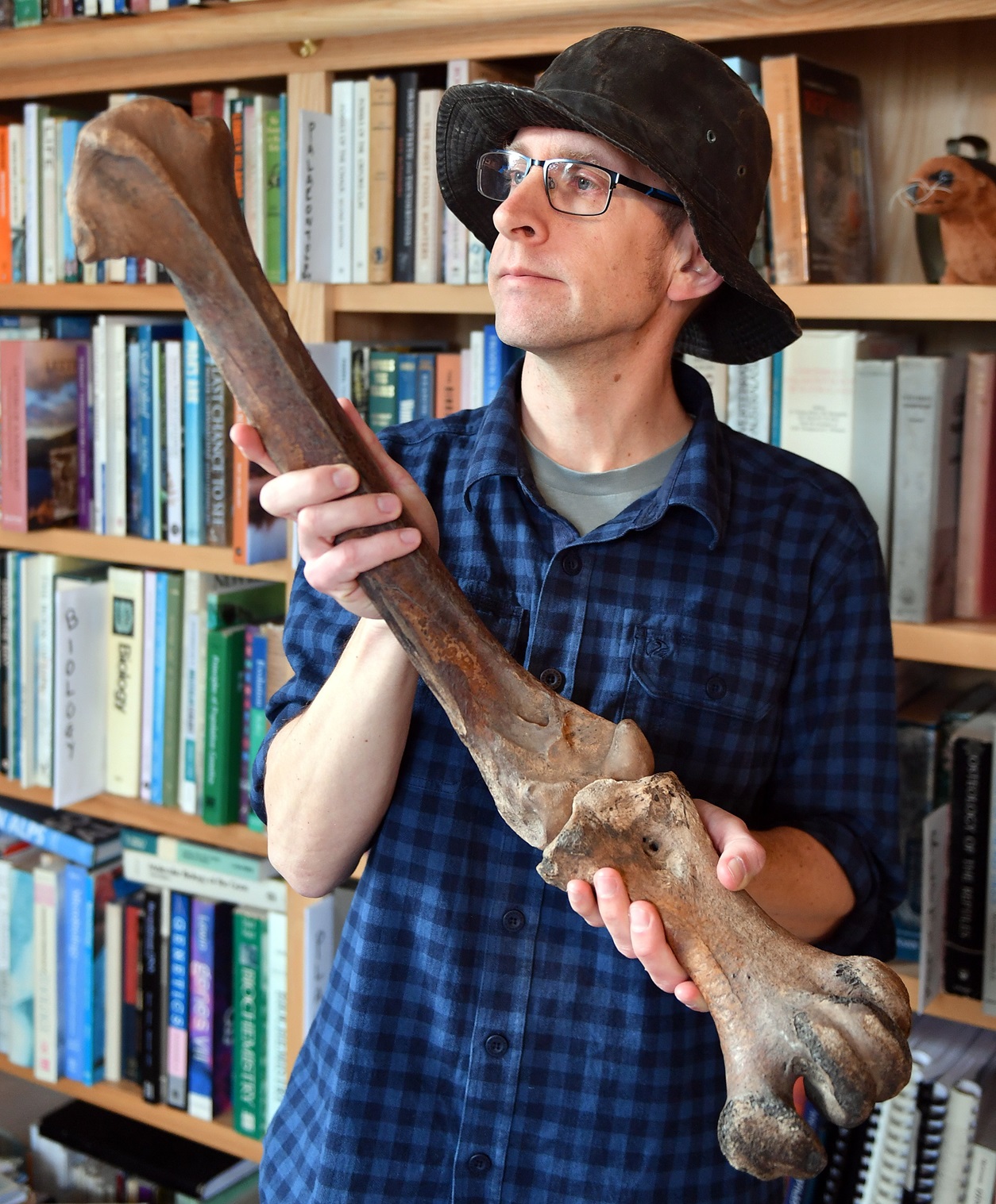 University of Otago paleogeneticist Associate Prof Nic Rawlence with a moa bone extracted from a...