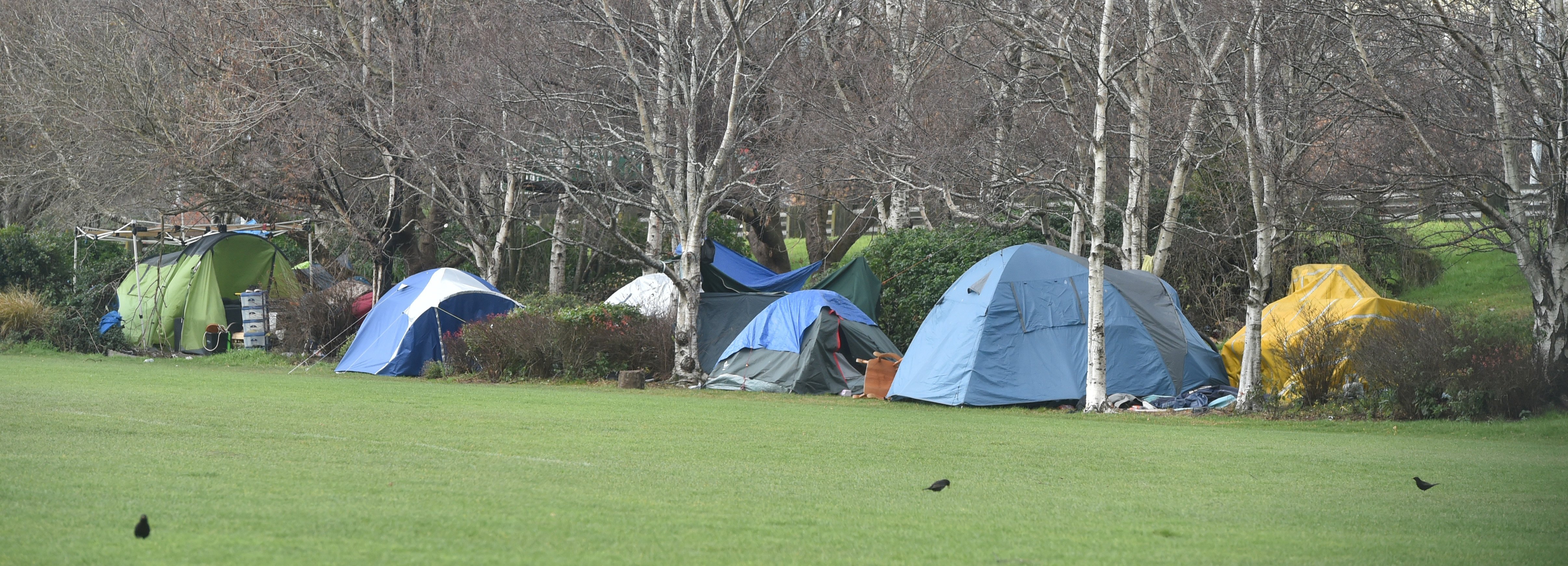 The Oval homeless camp. PHOTO: GREGOR RICHARDSON