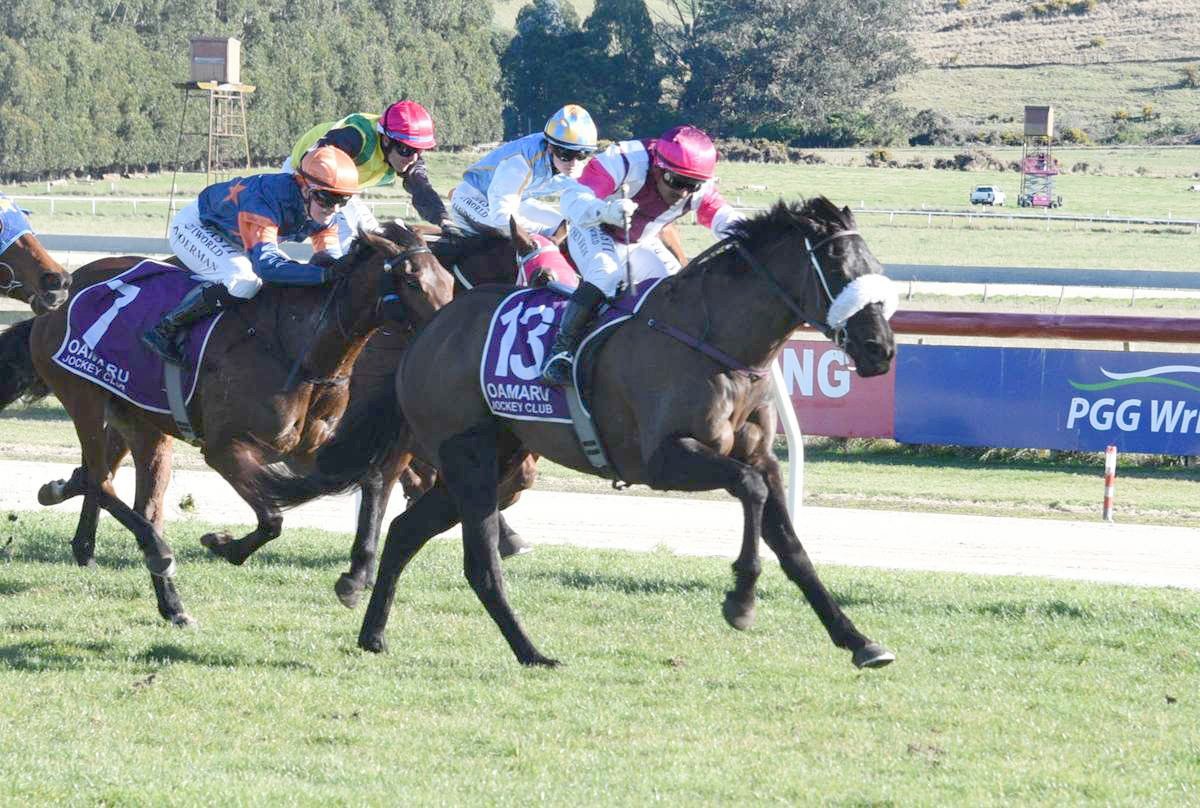 Satin Doll wins at Oamaru on Sunday. Photo: Tayler Strong