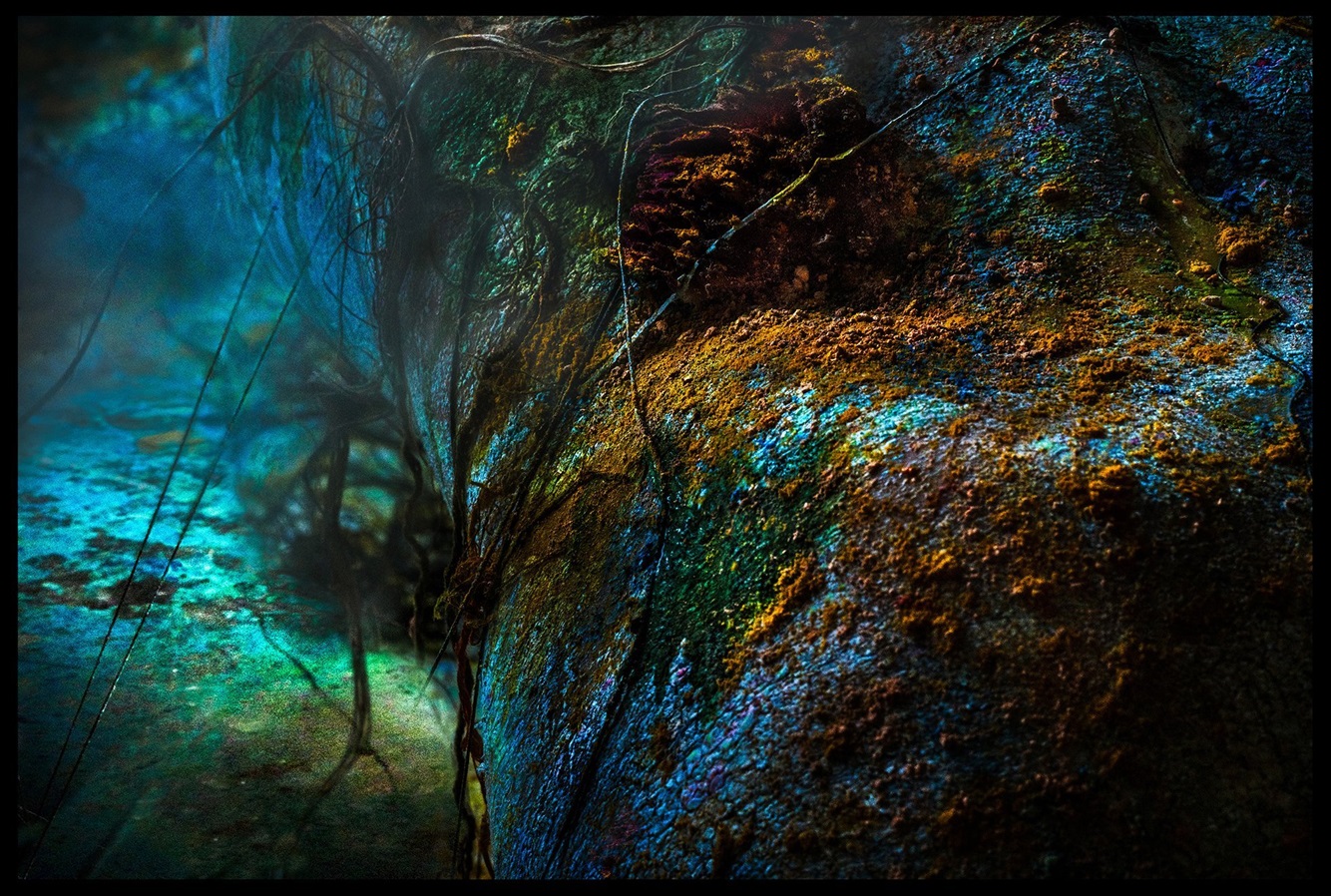 Reef (2015-2025). Photo: courtesy of Milford Galleries