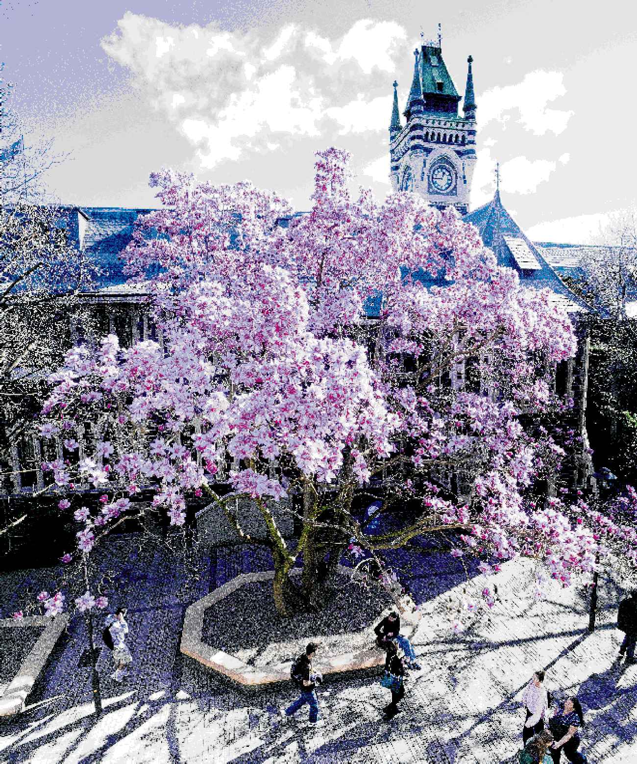 Photo: Gerard O'Brien