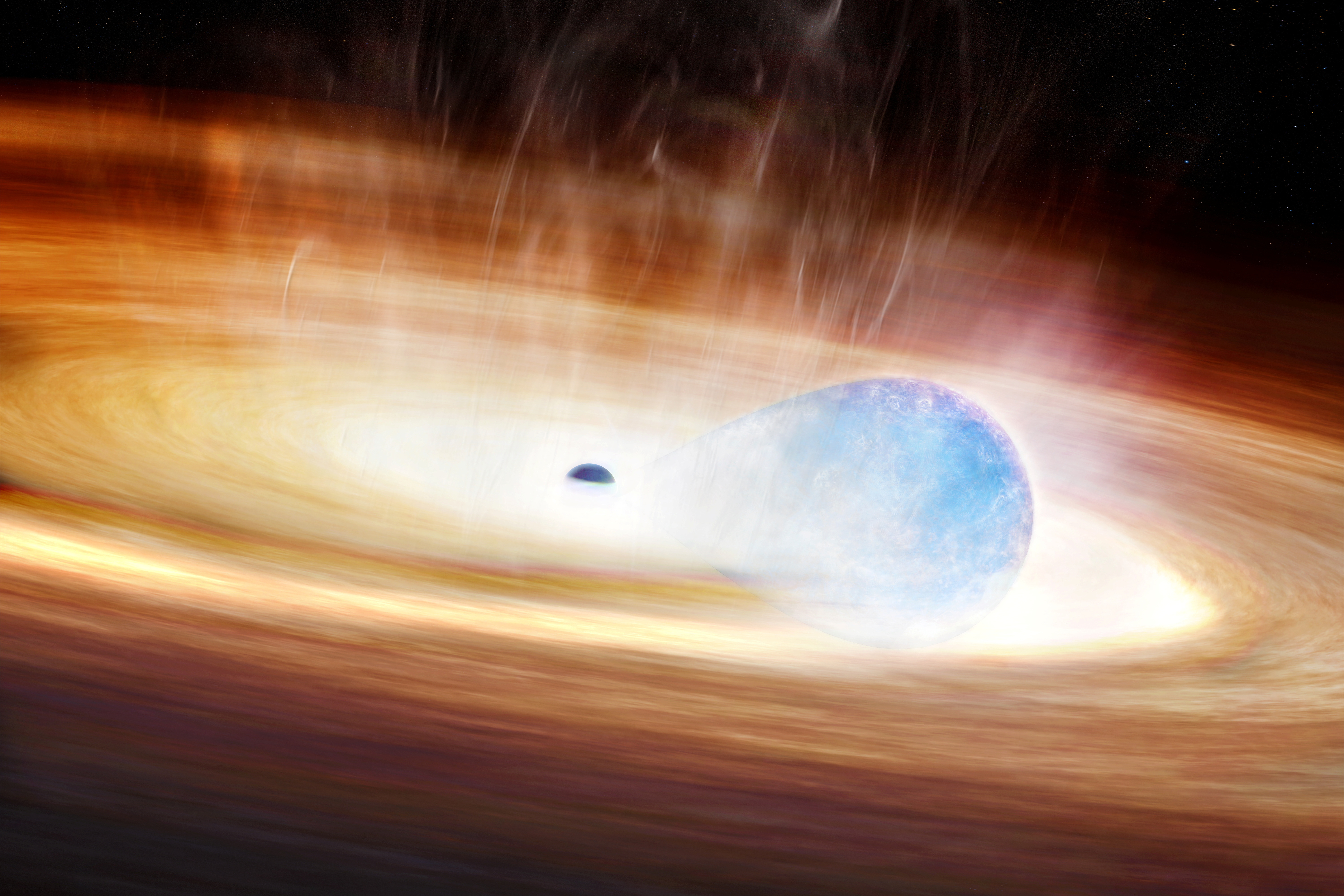 An artist's conception shows a massive star being stretched by the gravitational forces of a...