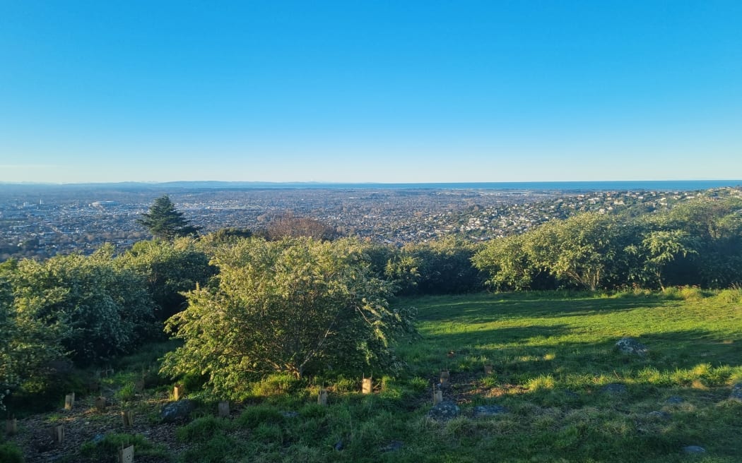 Christchurch is the world's main gateway to Antarctica, with around 100 flights departing from...