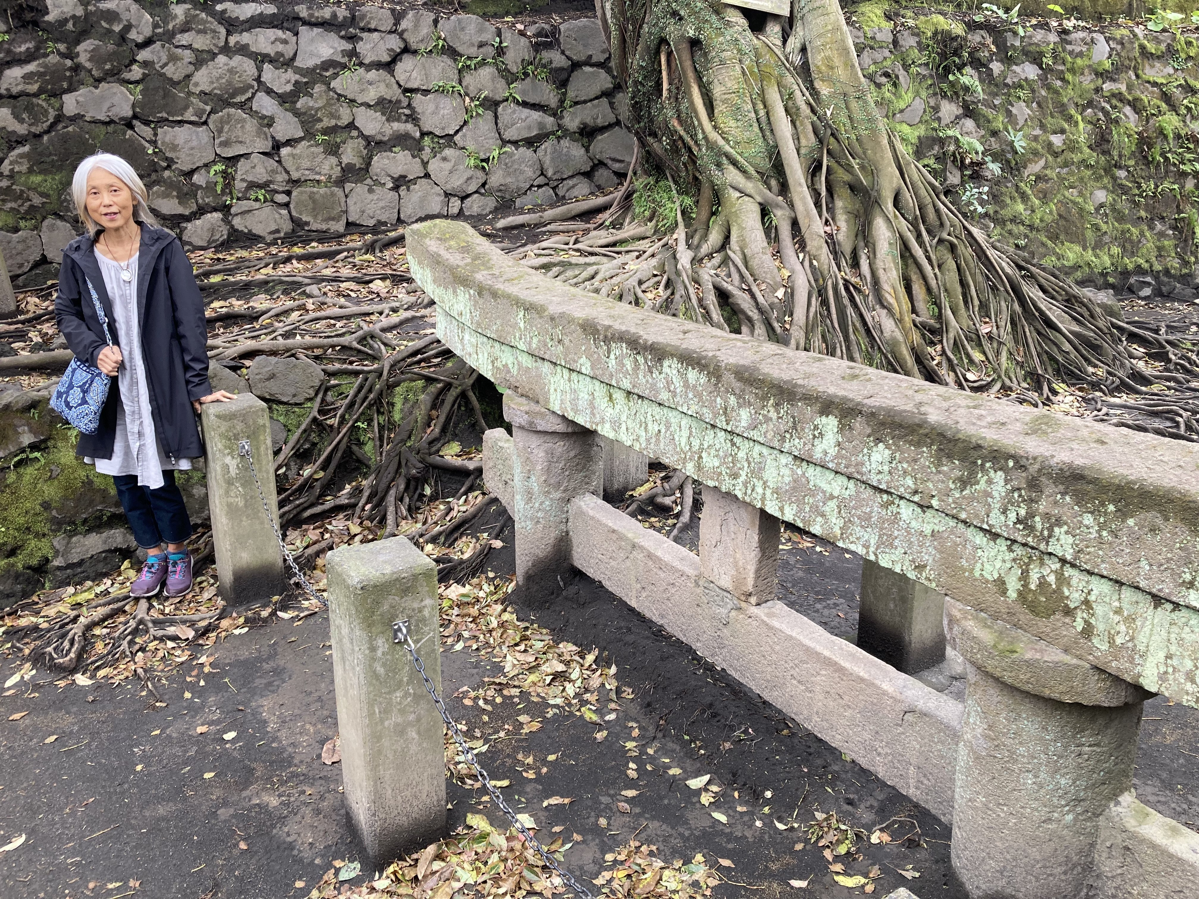 The 1914 eruption spewed so much lava that it connected the island of Sakurajima to the mainland...