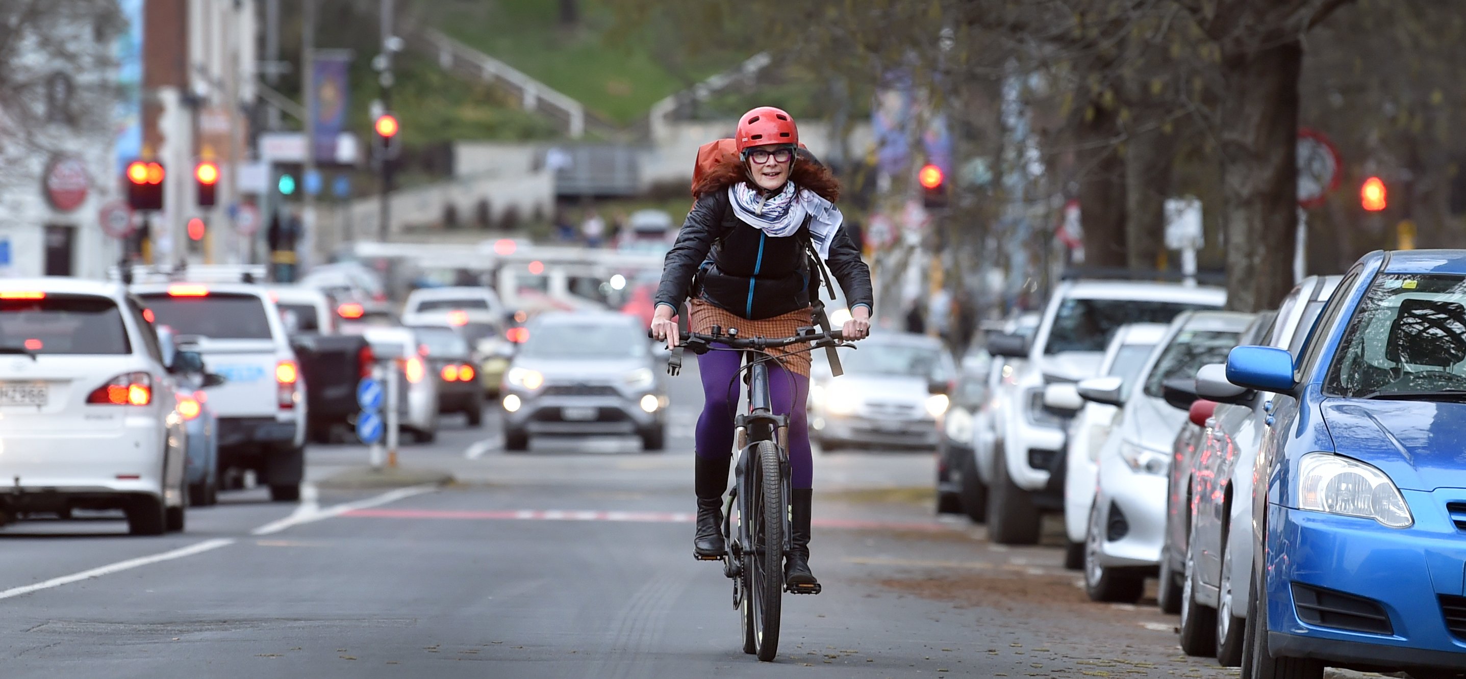 Dunedin cycling advocacy group Spokes spokeswoman Heike Cebulla-Elder says a council decision to...