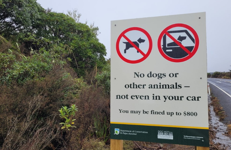 Signs clearly state no dogs are allowed in Tongariro National Park. Photo: DOC/Supplied via RNZ