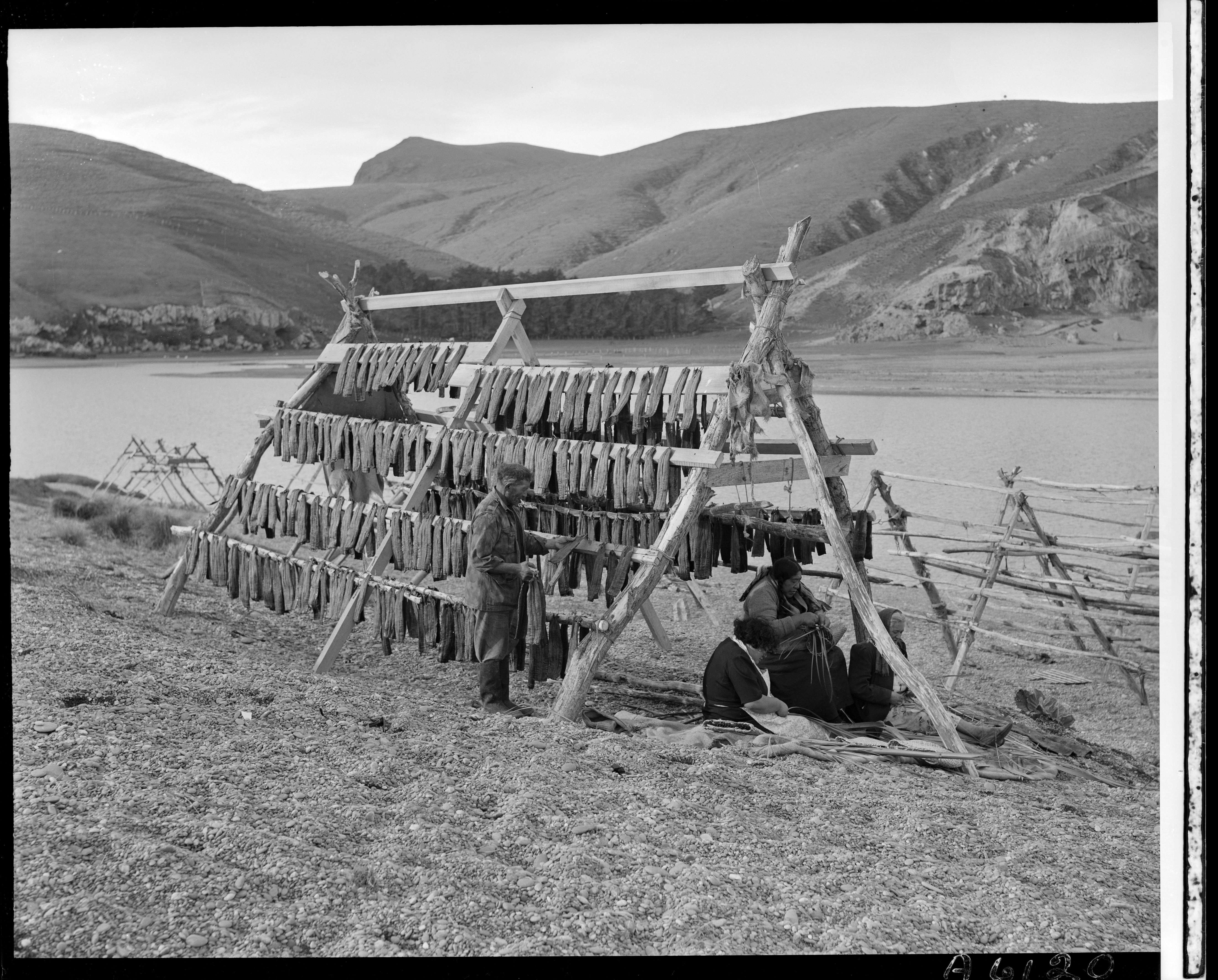 Pāwhara tuna drying on whata (racks) at Te Roto-o-Wairewa, 1948.