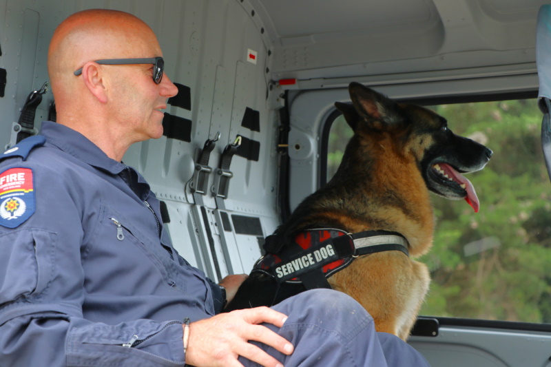 TripleM investigator Murray Milne-Maresca with his working dog Boss, who is the only New Zealand...