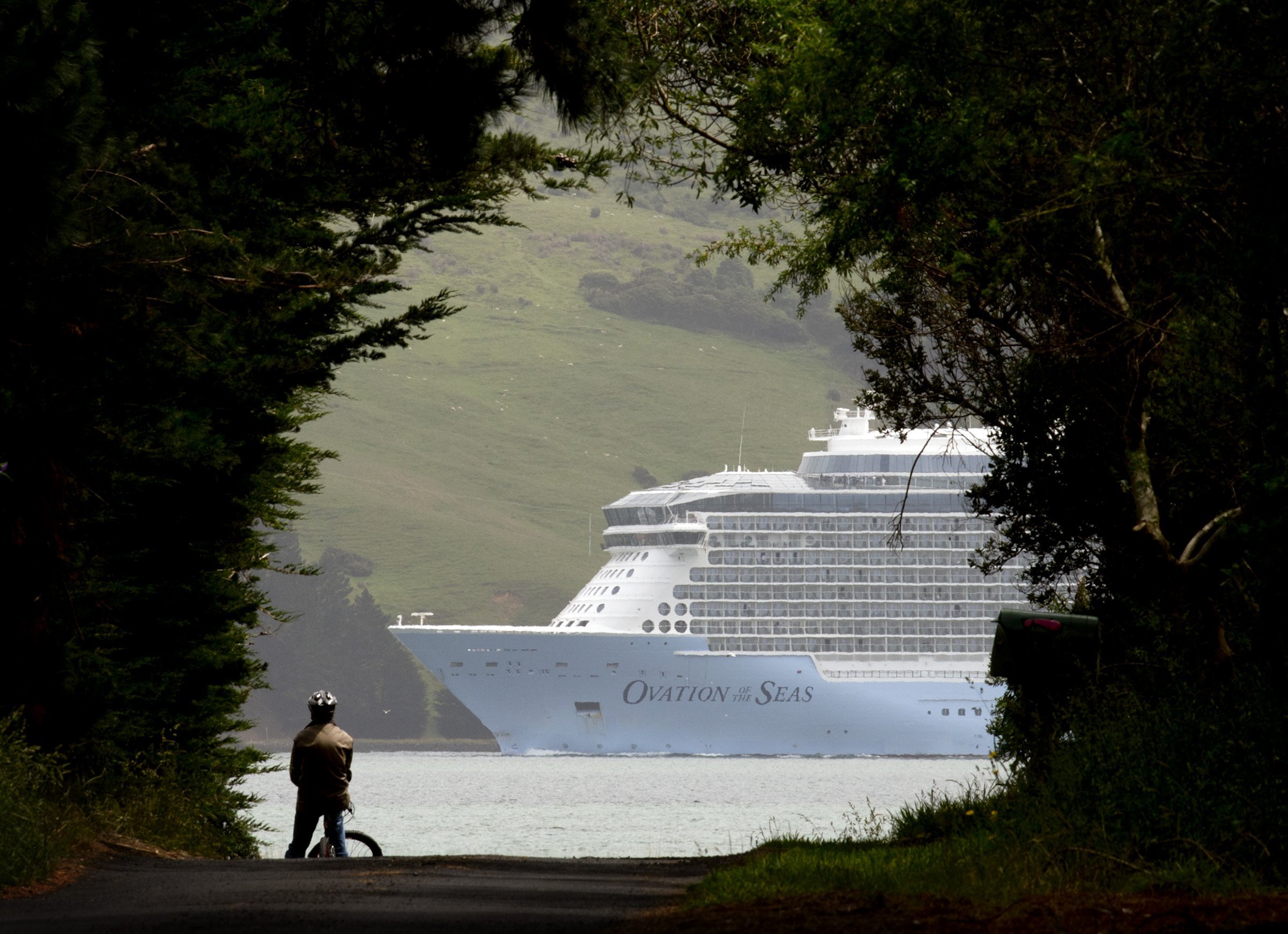 Cruise ship Ovation of the Seas glides up Otago Harbour past Harwood on a visit to Dunedin in...