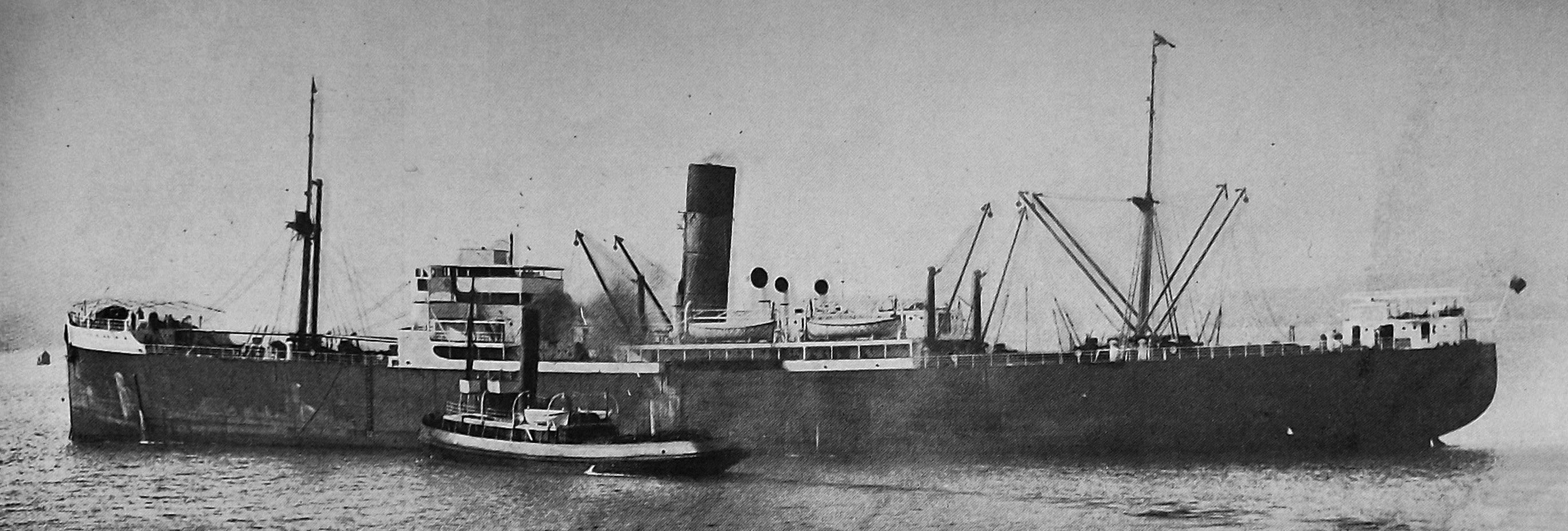 Newly-built ship Port Dunedin arrives in Otago Harbour, attended by tug Dunedin. — Otago Witness,...