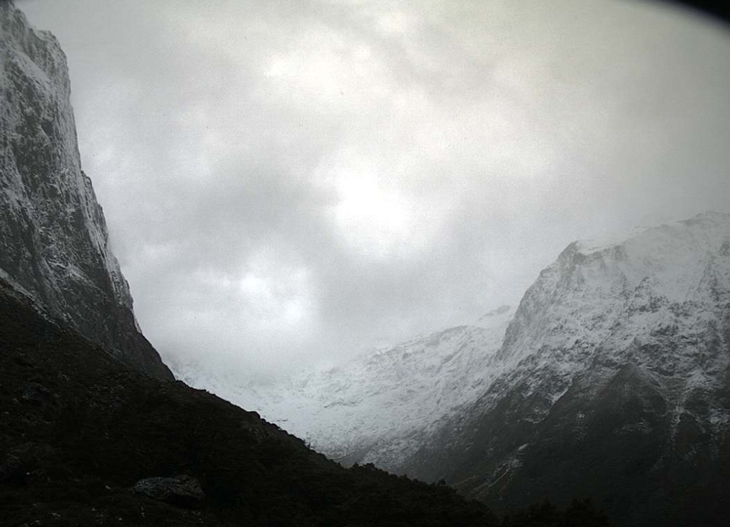 Snow at Milford's Gertrude Valley on Friday. Photo: Milford Road Alliance webcam